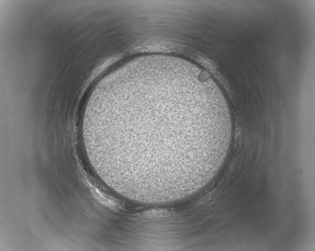 X0000078870578200612111716