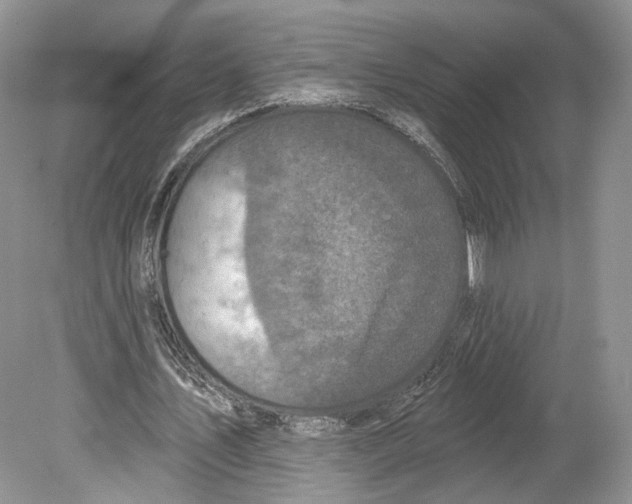 X0000078870579200612111716