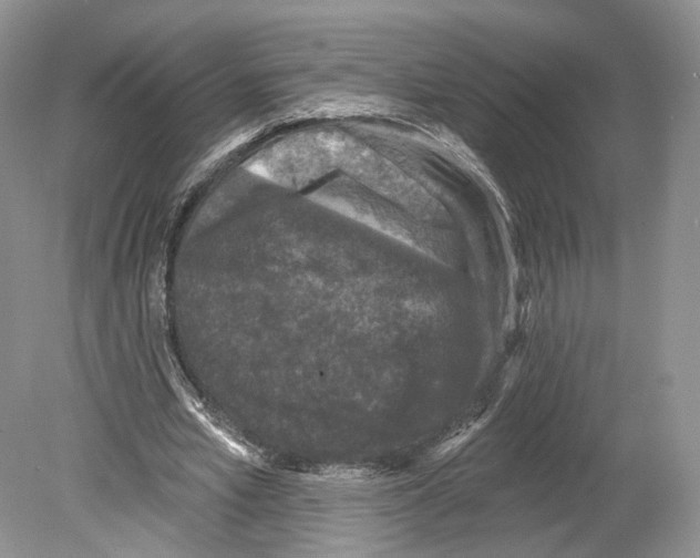 X0000078870581200612111716