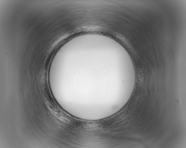 X0000078870583200612111716