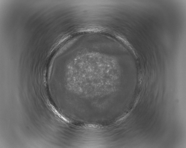 X0000078870585200612111716