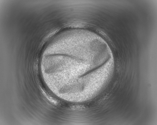 X0000078870586200612111716