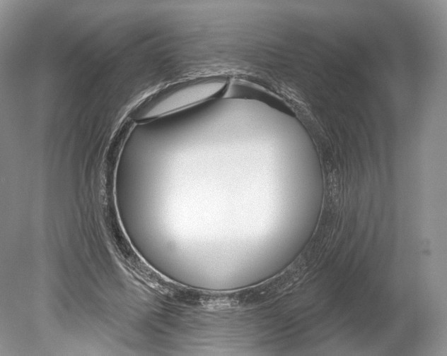 X0000078870587200612111716