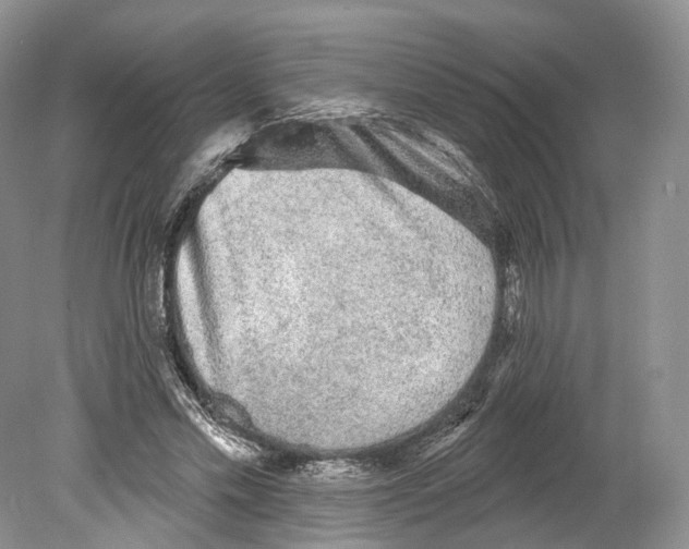 X0000078870589200612111716