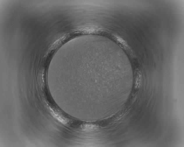 X0000078870590200612111716