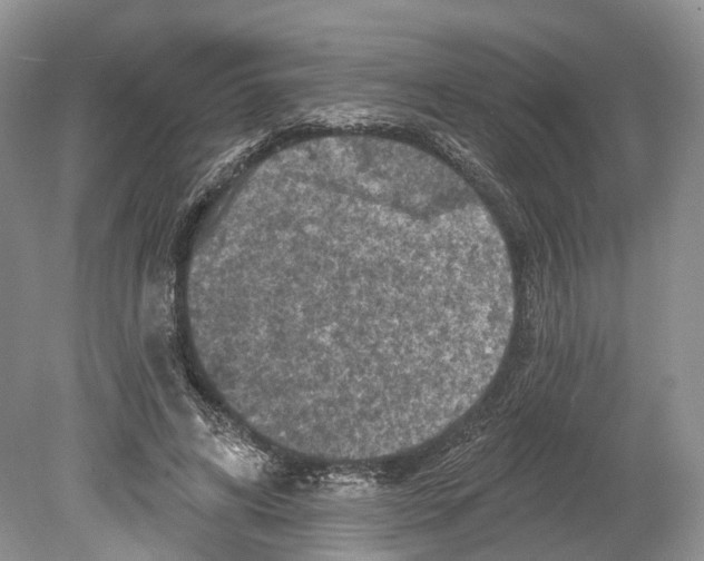 X0000078870592200612111716