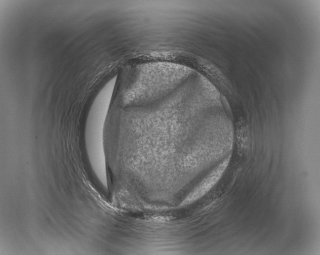 X0000078870593200612111716