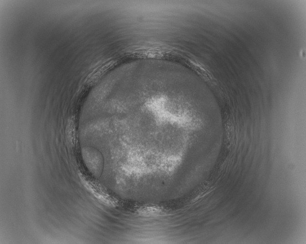 X0000078870594200612111716