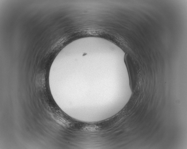 X0000078870595200612111715