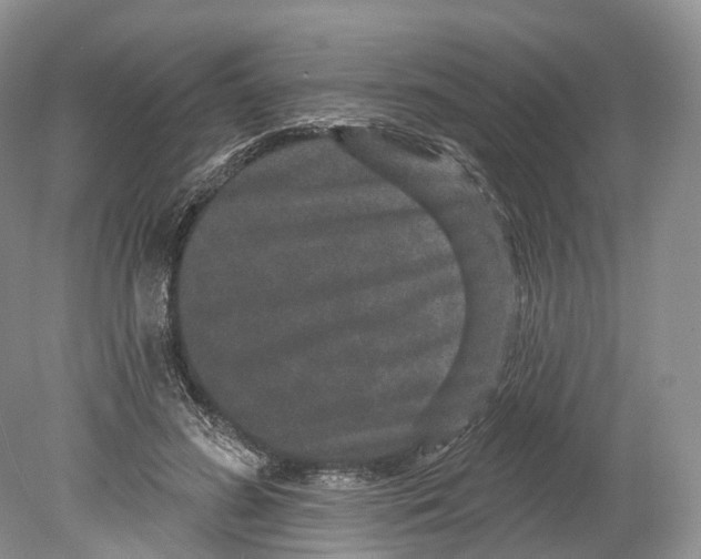 X0000078870596200612111715