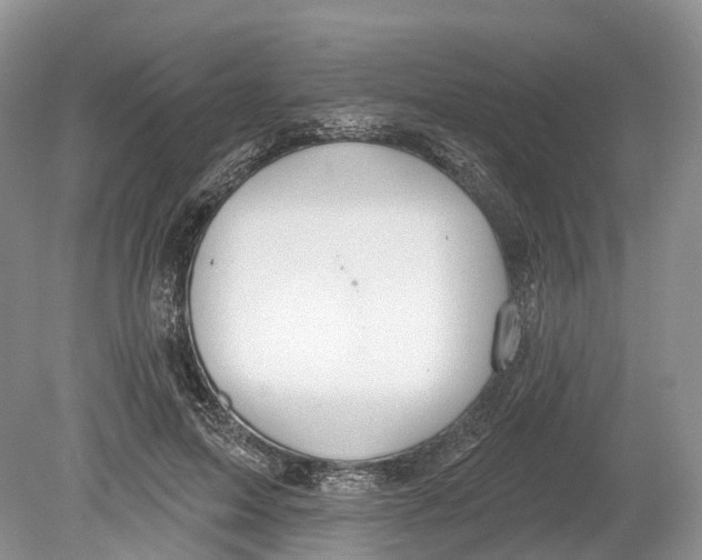 X0000078870599200612111715