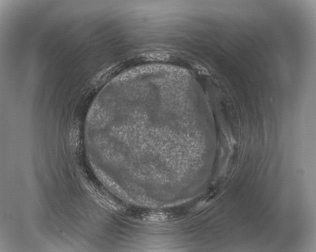 X0000078870600200612111715