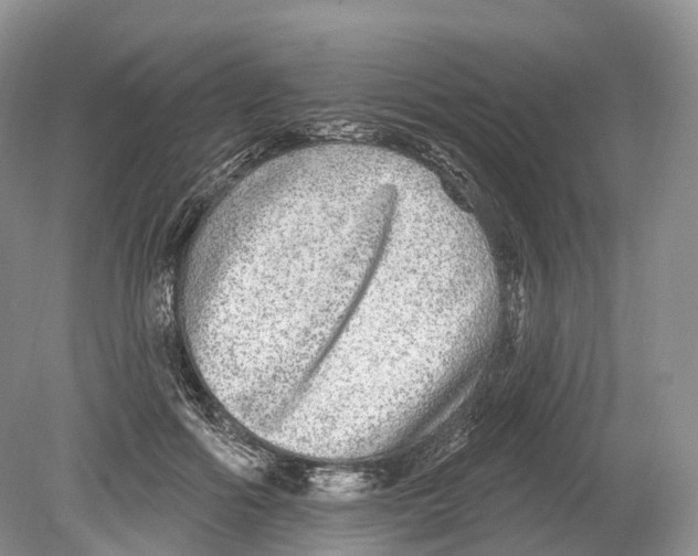 X0000078870602200612111715