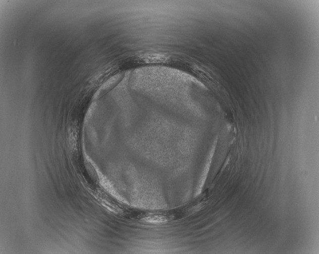 X0000078870604200612111715