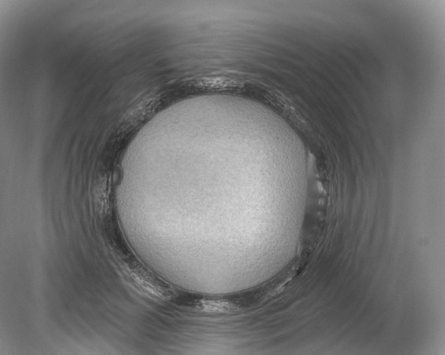 X0000078870605200612111715