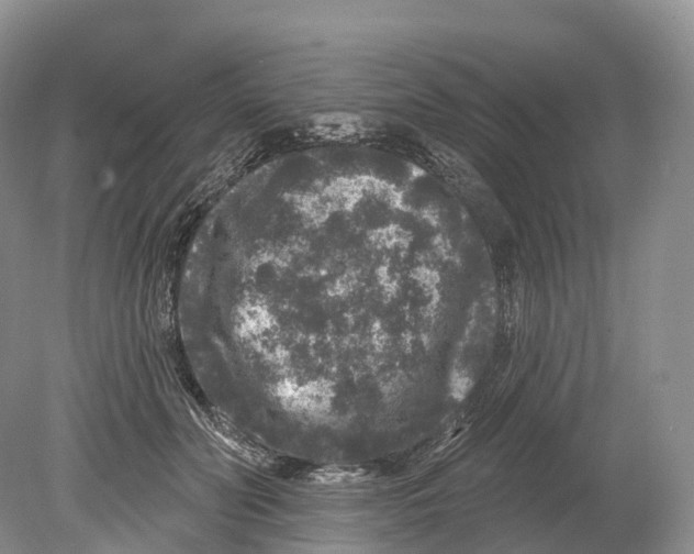 X0000078870606200612111715