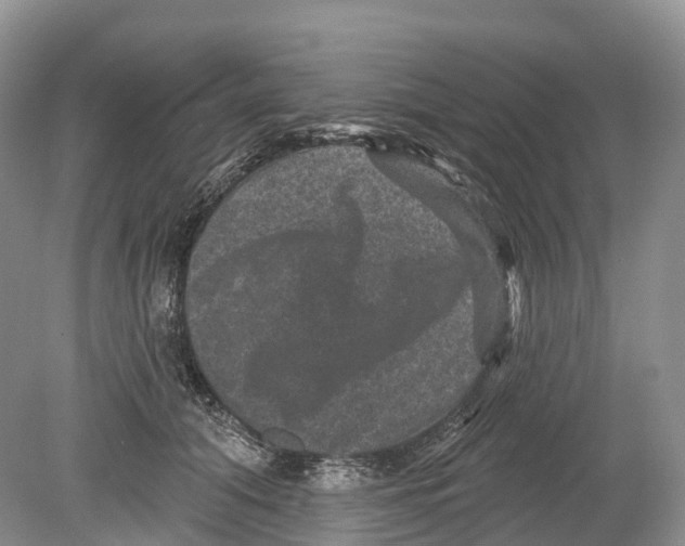 X0000078870608200612111715