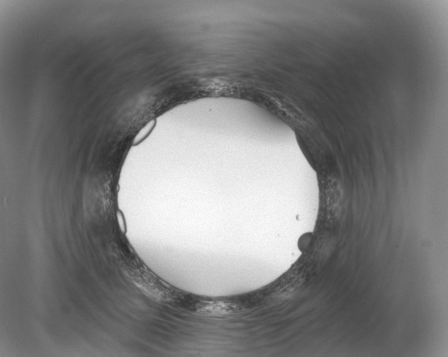 X0000078870611200612111715