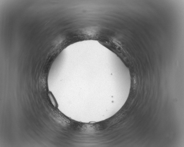 X0000078870613200612111715