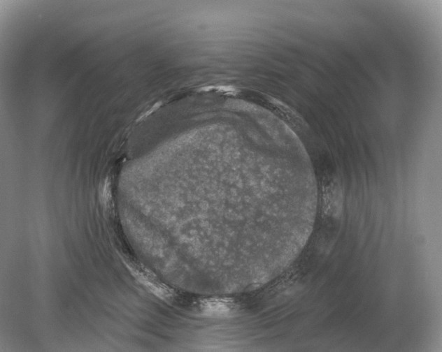 X0000078870618200612111715