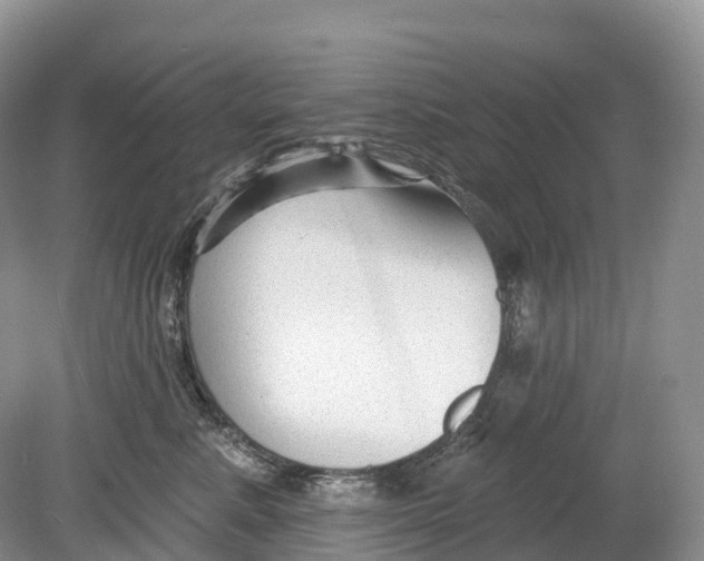 X0000078870619200612111715