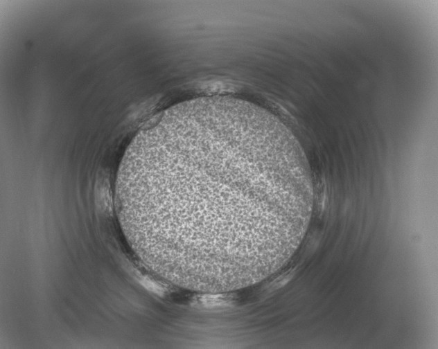 X0000078870622200612111715