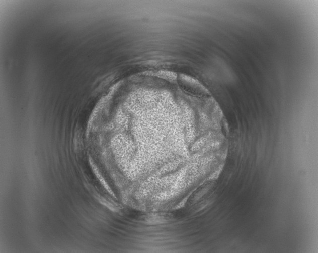 X0000078870623200612111715