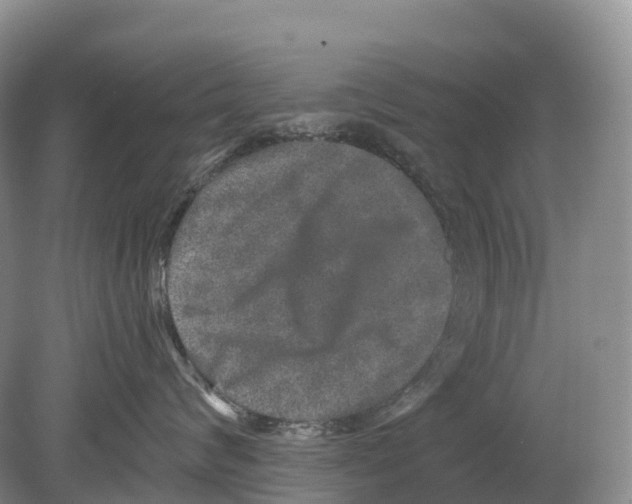 X0000078870624200612111715