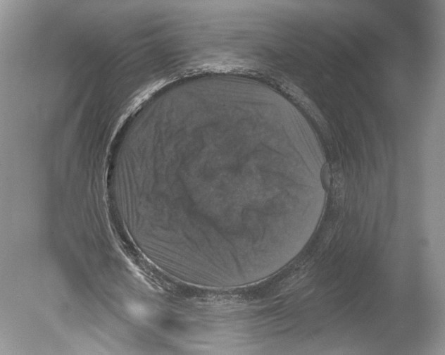 X0000078870626200612111714