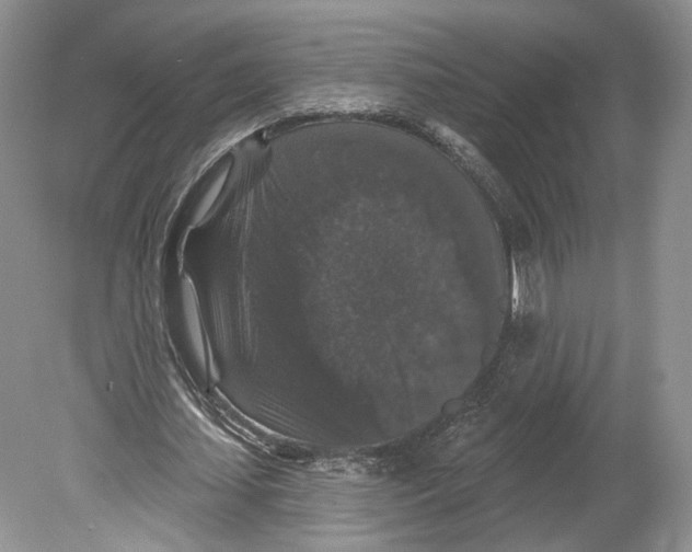 X0000078870627200612111714