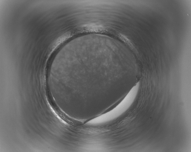 X0000078870630200612111714