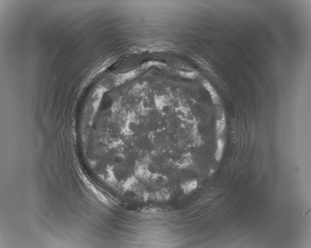 X0000078870634200612111714