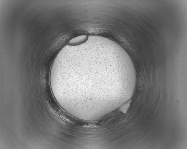 X0000078870639200612111714