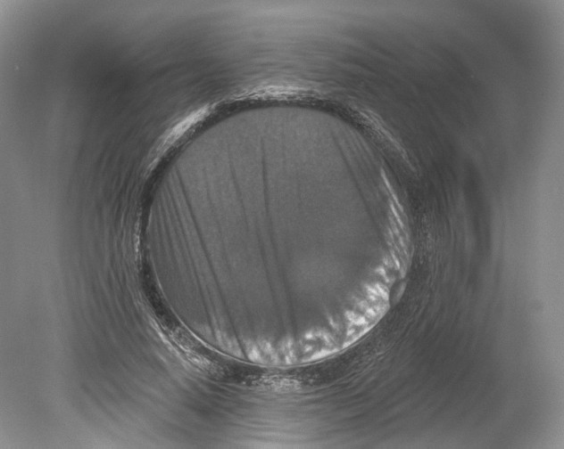 X0000078870640200612111714