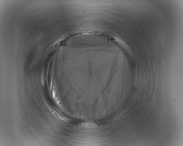 X0000078870644200612111715