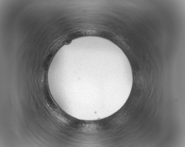 X0000078870645200612111715