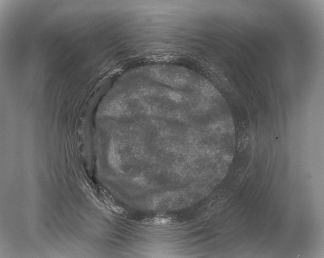 X0000078870647200612111715