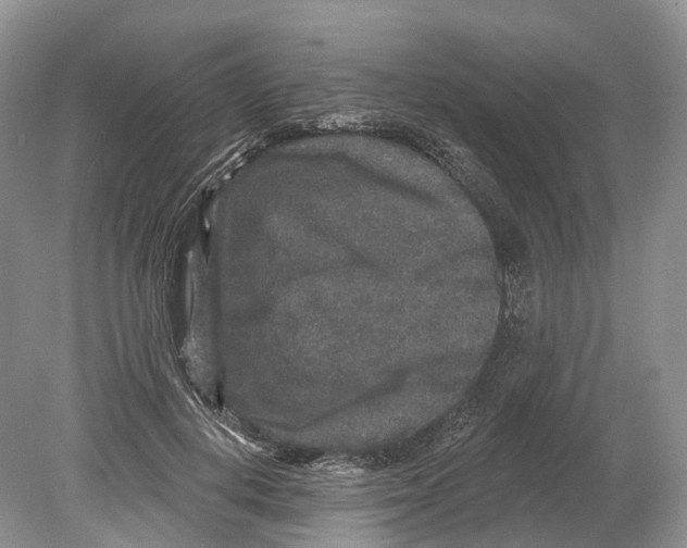 X0000078870648200612111715