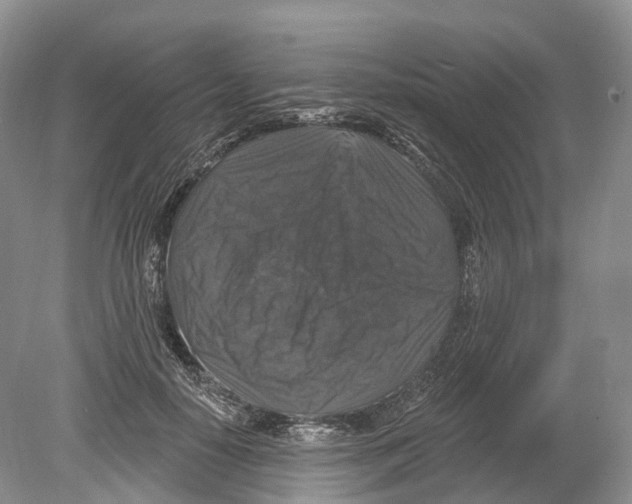 X0000078870650200612111715