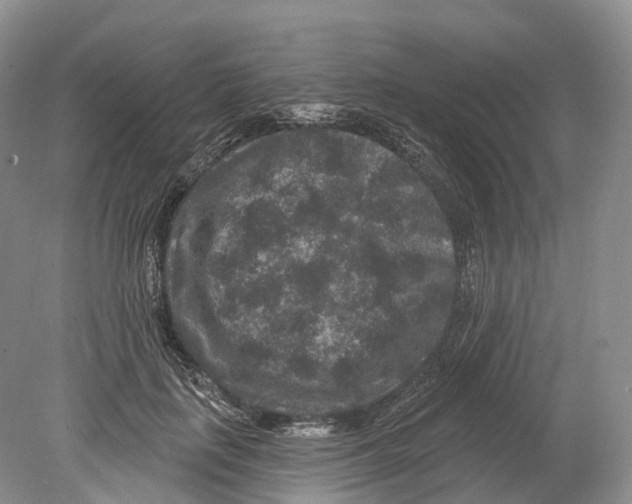 X0000078870651200612111715