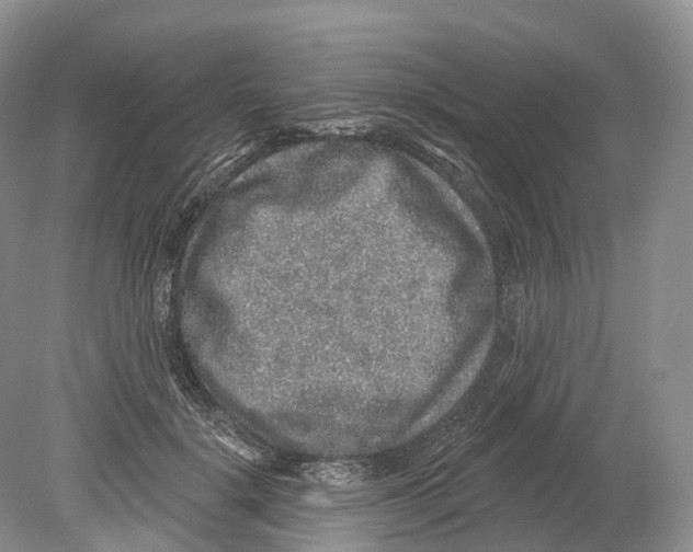 X0000078870652200612111715