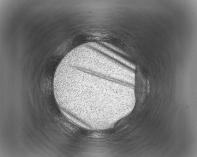 X0000078870657200612111715