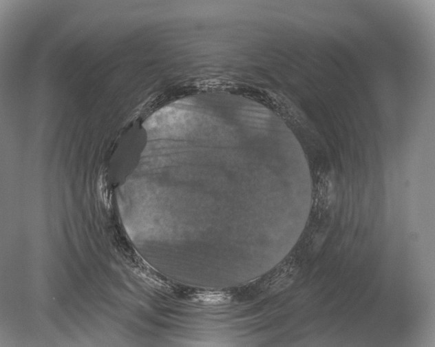 X0000078870659200612111715