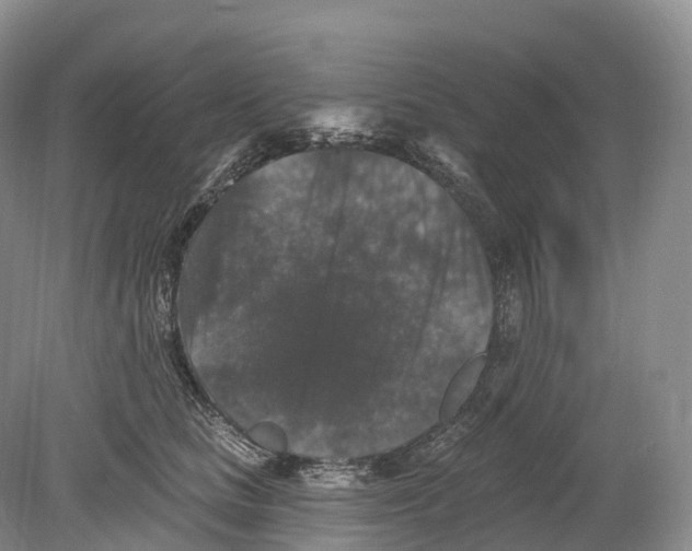 X0000078870661200612111715