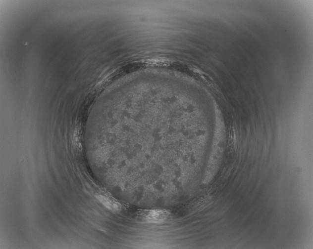 X0000078870663200612111715