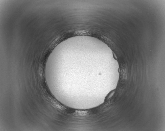 X0000078870665200612111715