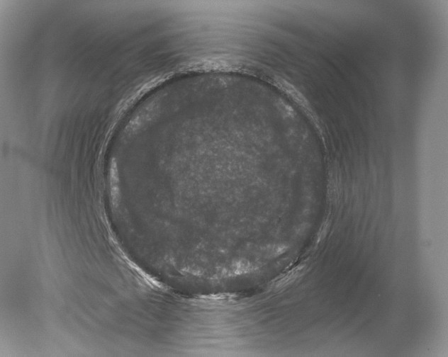 X0000078870673200612111714