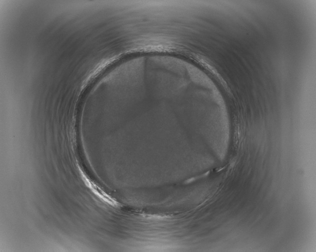 X0000078870677200612111714