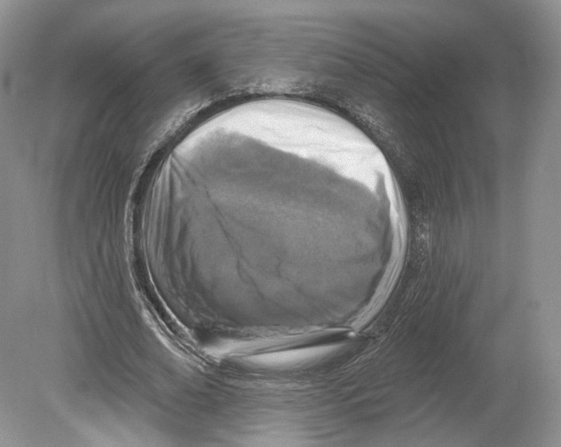 X0000078870678200612111714