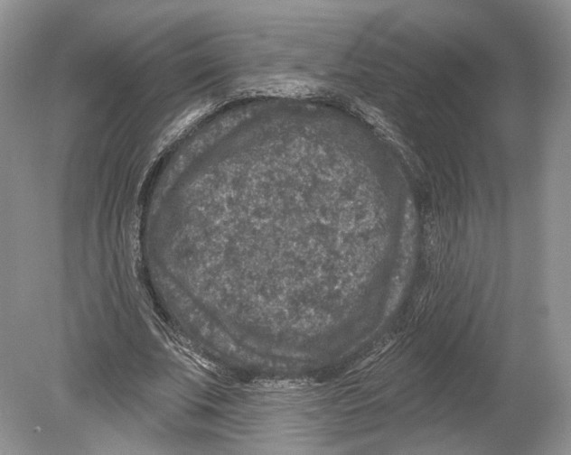 X0000078870679200612111714